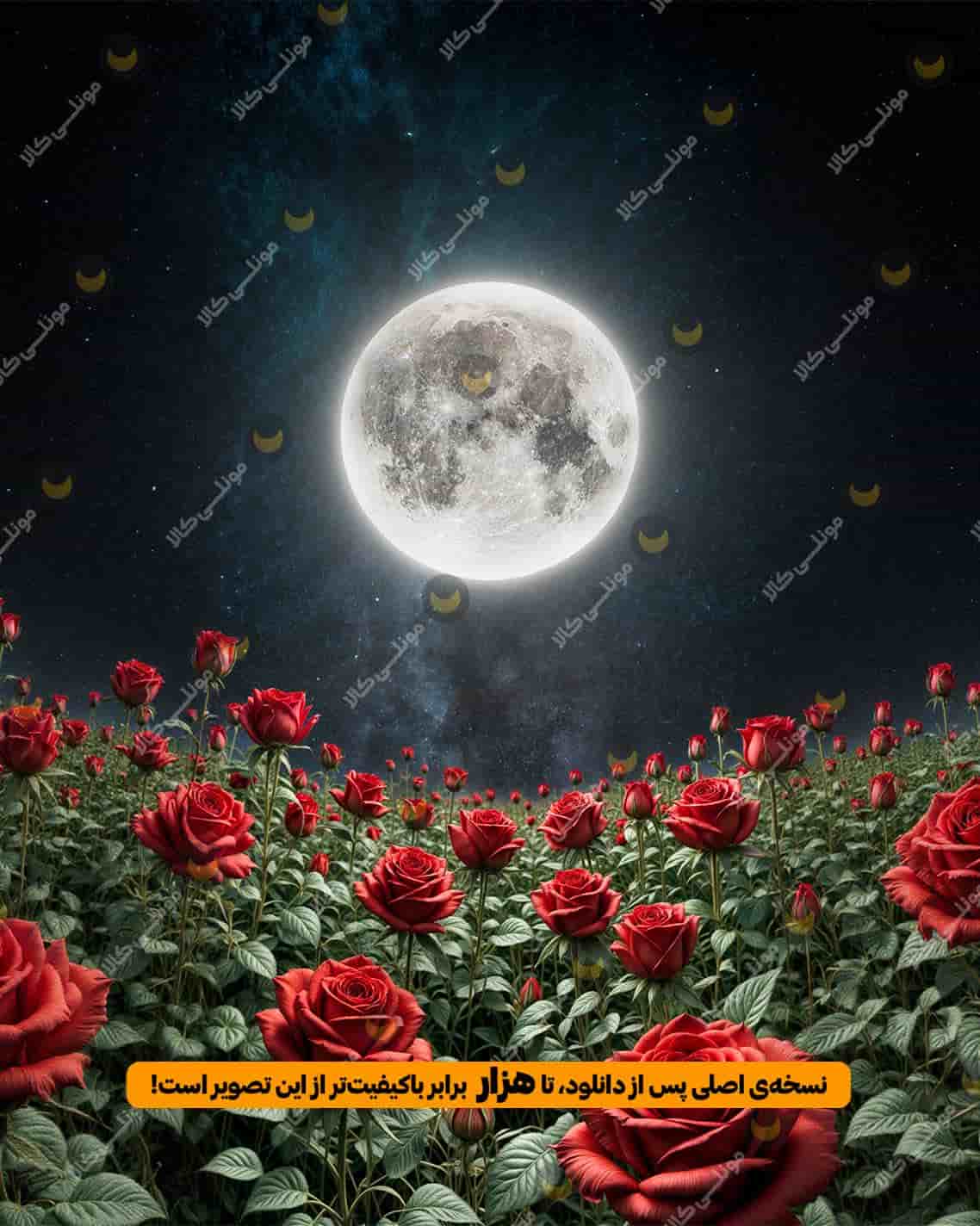 اثر هنری رقص ماه بر دشتِ رزهای سرخ